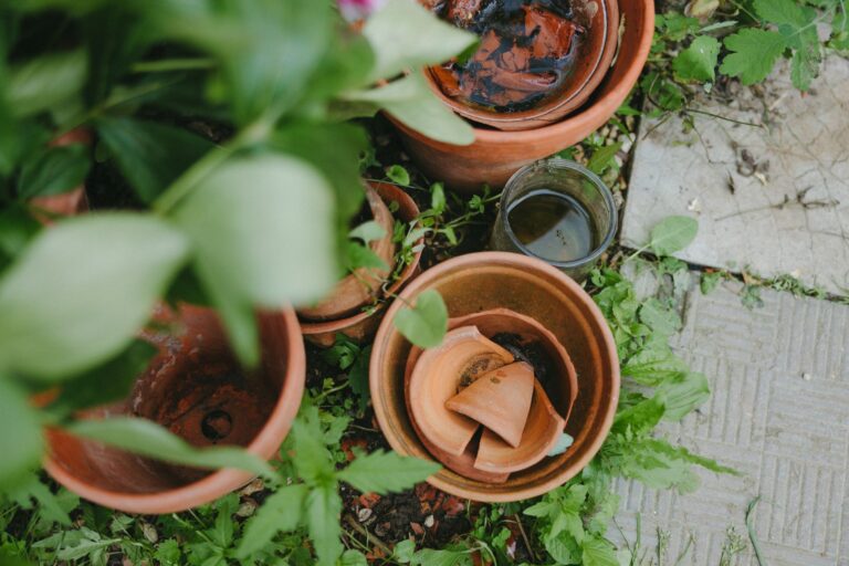 Small Space Permaculture: From Balcony Container Gardens to Tiny Backyards - PermaEasy