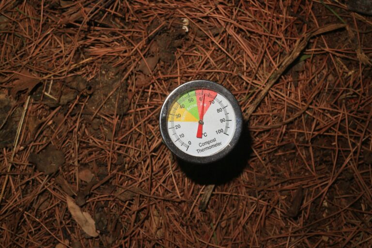 Composting 101: Hot vs Cold Methods and Which Is Right for You