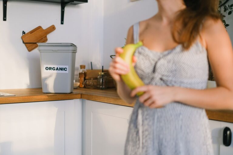 Composting for Beginners: Turn Kitchen Scraps into Black Gold