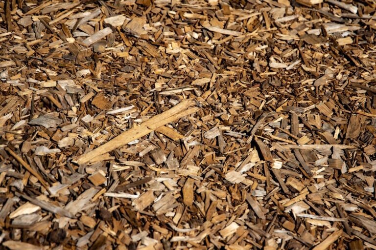 Sheet Mulching: How to Kill Grass and Build Soil at the Same Time