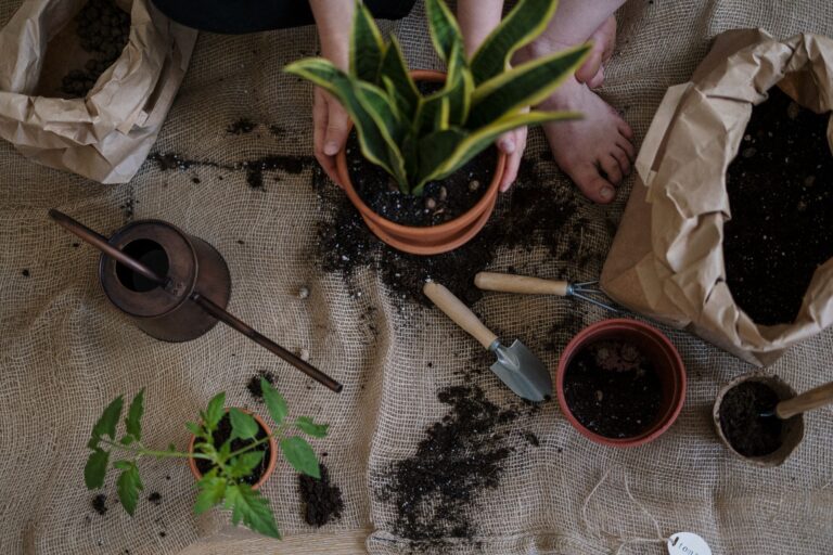 A Beginner's Guide to Vermicomposting - Epic Gardening - permaeasy