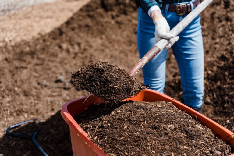 How to Compost for Beginners: 4 Simple Steps - permaeasy