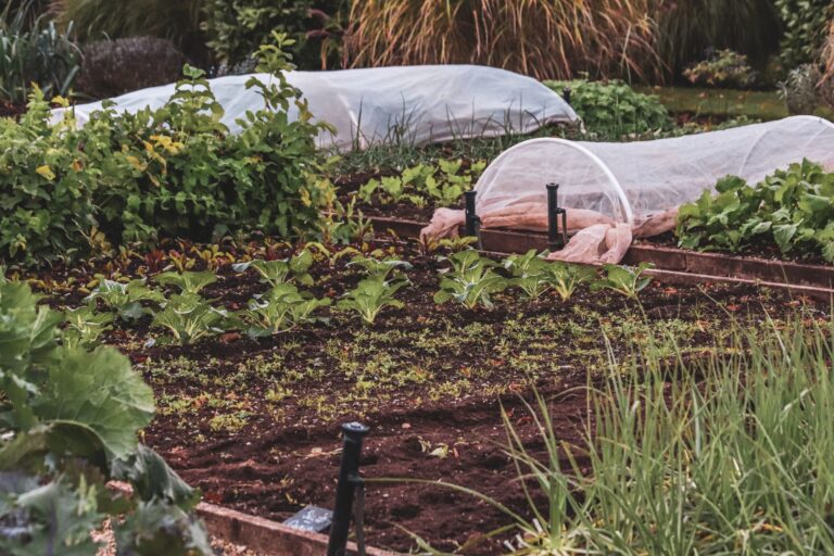 RAISED GARDEN BEDS - The Home Depot - permaeasy