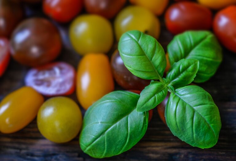 Companion Planting Limits: Beyond Basil for Tomato Protection - permaeasy