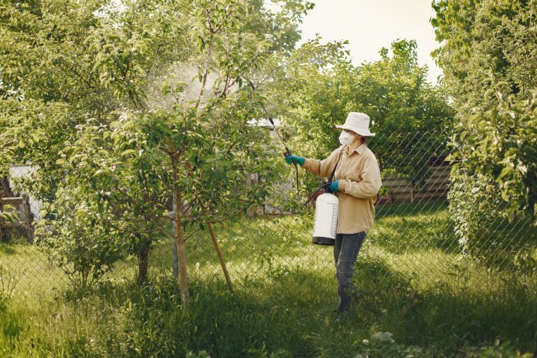 An inviting home-and-garden scene showing jms stylet oil neem oil practical food forest pest control.