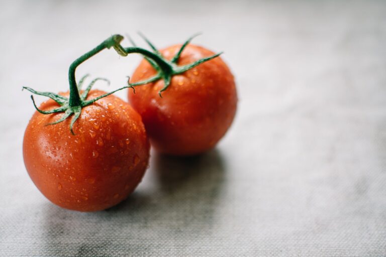 An inviting home-and-garden scene showing growing tomatoes indoors year round harvests.
