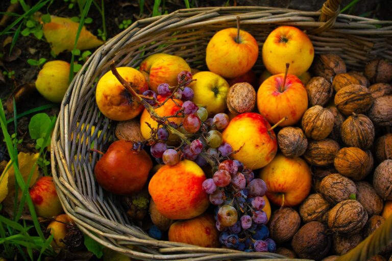 How to Build a 3-Layer Food Forest Guild Centered on a Dwarf Apple Tree - permaeasy