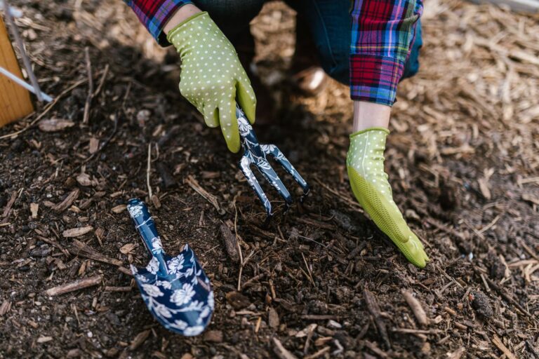 An editorial image illustrating no dig garden when deep mulch creates pest disease problems.
