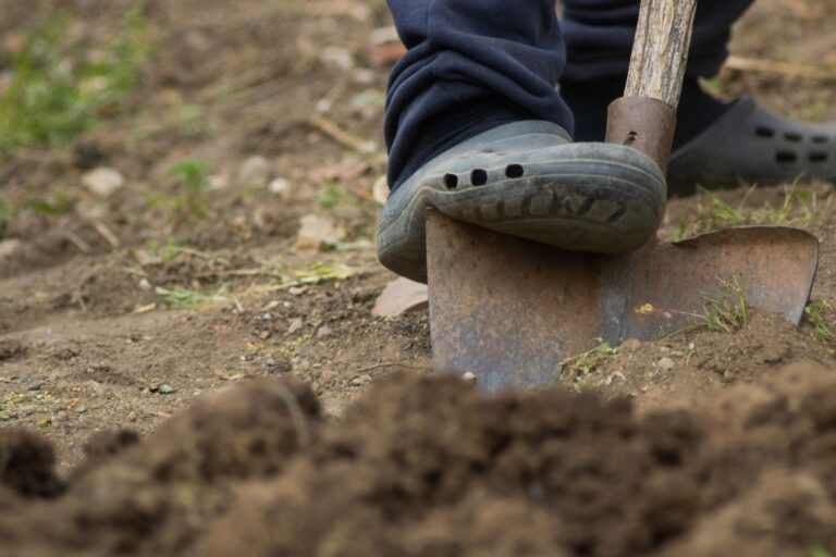 No-Dig Gardening Myths Debunked: Does It Really Work on Heavy Clay Soil? - permaeasy