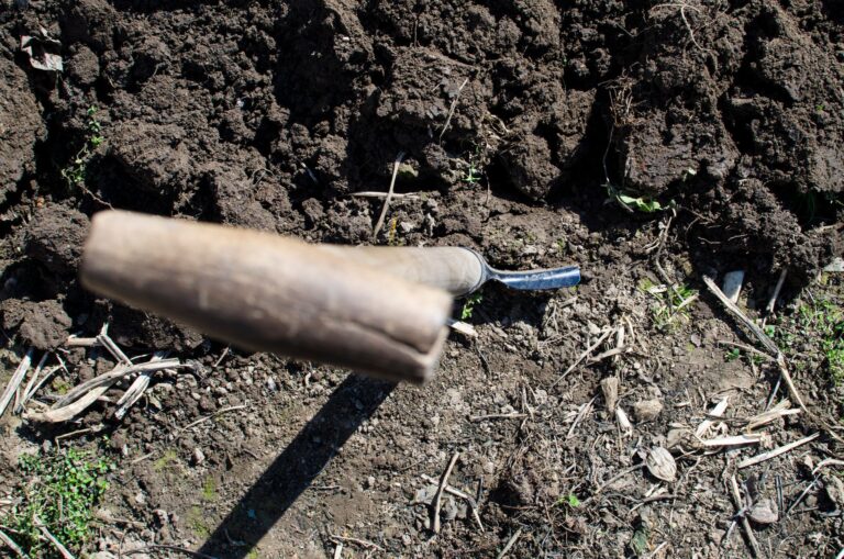 No-Dig vs. Tilling: Soil Health & Tomato Yields After One Season - permaeasy