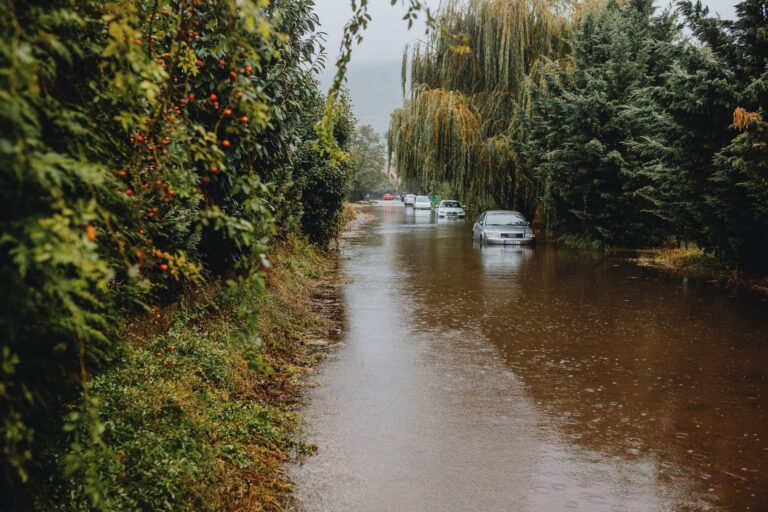 Rainwater Harvesting on Clay Soil: Preventing Overflow and Stagnation - permaeasy