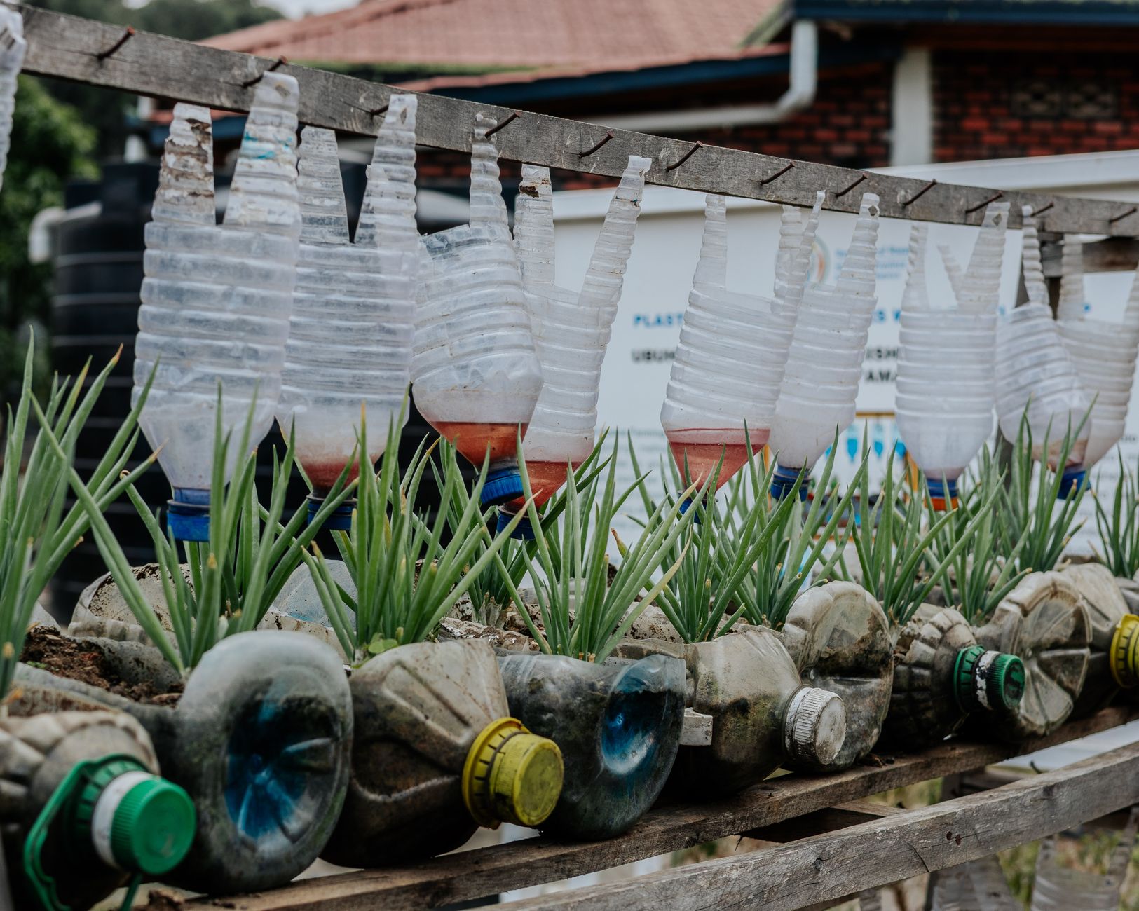 Spacing and Depth: Designing Swales, Basins, and Distribution Lines — Greywater Recycling in Permaculture Systems: 6 Experts on Safe Filtration, Plant