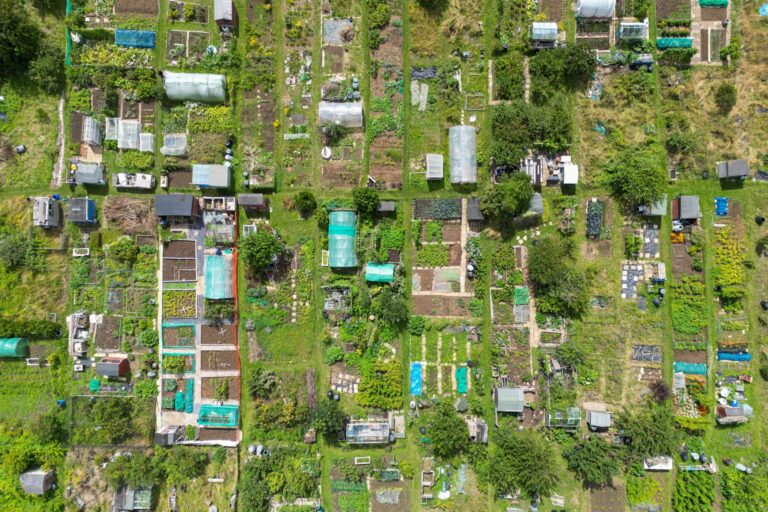 Small Space Permaculture: Easy Design Strategies for Urban Areas - PermaEasy