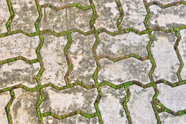 Illustration for How to Create a Low-Maintenance Permeable Patio With Perme Easy in 5 Steps