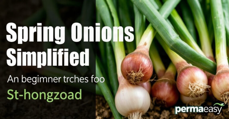 Spring Onions Simplified: A Beginner's Method for Early Greens in Your Kitchen Garden